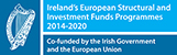 Irish Government and European Union